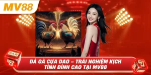 Đá gà cựa dao trải nghiệm kịch tính đỉnh cao tại mv88