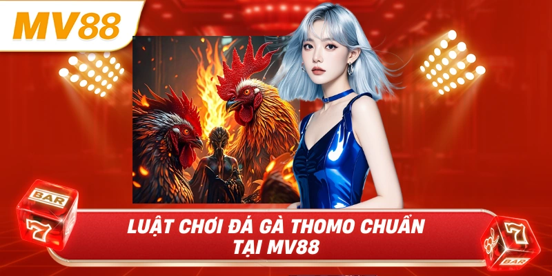 Luật chơi đá gà Thomo chuẩn tại MV88