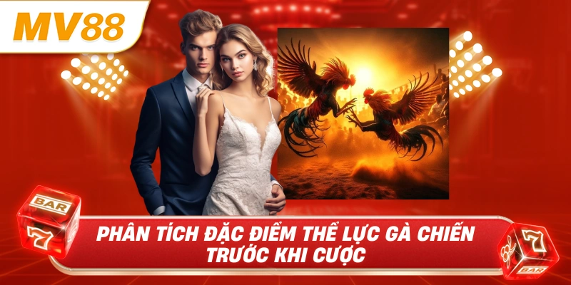 Phân tích đặc điểm thể lực gà chiến trước khi cược