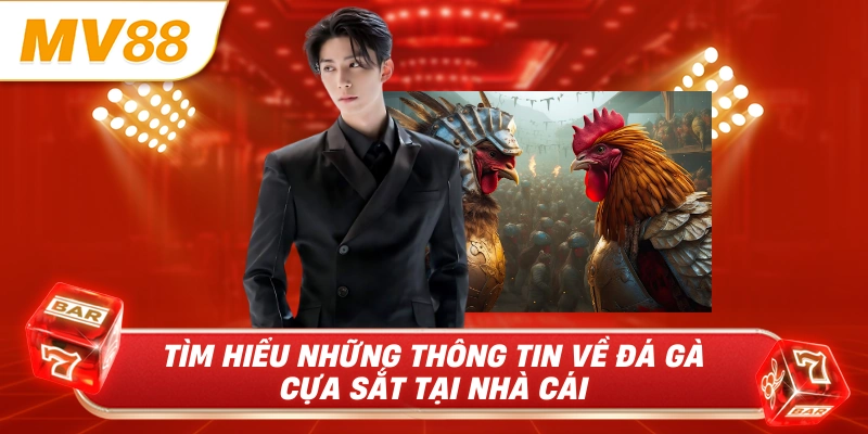 Tìm hiểu những thông tin về đá gà cựa sắt tại nhà cái