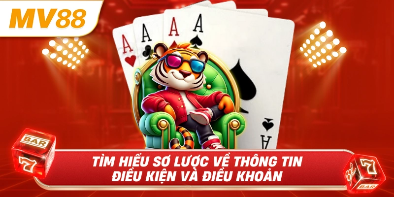 Tìm hiểu sơ lược về thông tin điều kiện và điều khoản