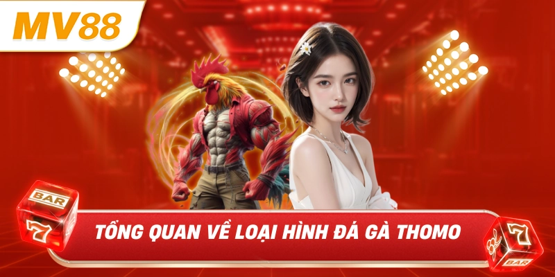 Tổng quan về loại hình đá gà Thomo